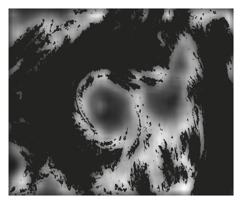 Details are in the caption following the image Details are in the caption following the image