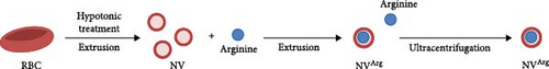 Details are in the caption following the image