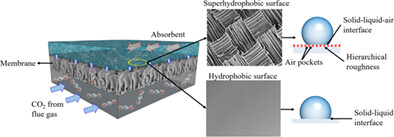 Creating membrane-air-liquid interface through a rough hierarchy structure for membrane gas absorption to remove CO2