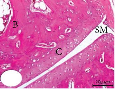 Details are in the caption following the image