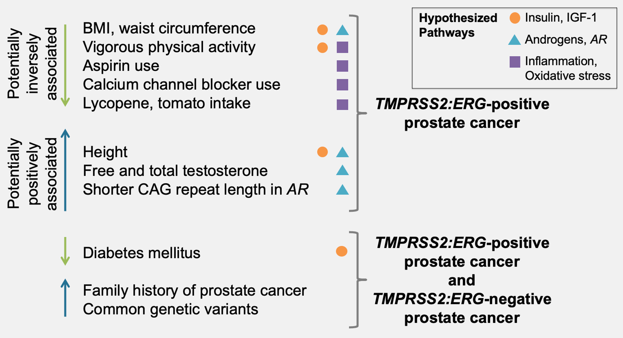 Etiology of prostate cancer with the TMPRSS2:ERG fusion: A systematic review of risk factors