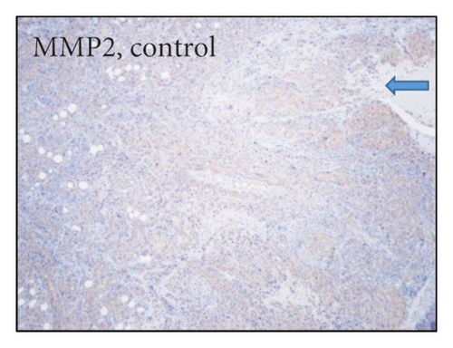 Details are in the caption following the image