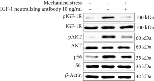 Details are in the caption following the image