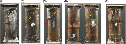 Details are in the caption following the image Details are in the caption following the image