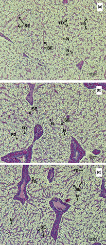 Details are in the caption following the image Details are in the caption following the image