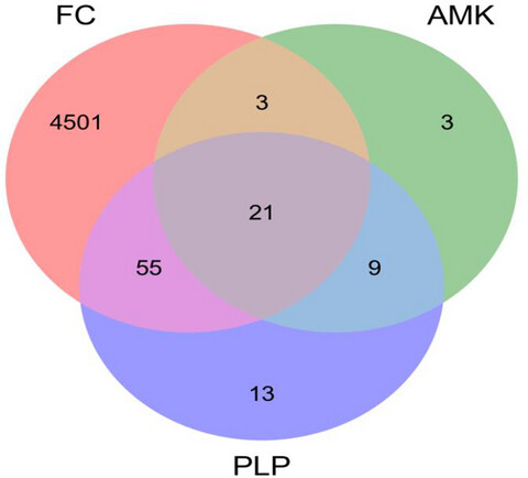Network pharmacological prediction and molecular docking analysis of the combination of Atractylodes macrocephala Koidz. and Paeonia lactiflora Pall. in the treatment of functional constipation and its verification