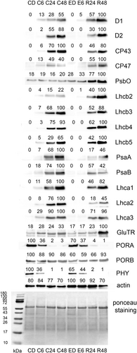 Details are in the caption following the image