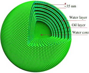 An Onion Phase in Salt-Free Zero-Charged Catanionic Surfactant Solutions