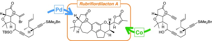 Totalsynthese von (+)-Rubriflordilacton A