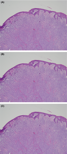 Details are in the caption following the image Details are in the caption following the image