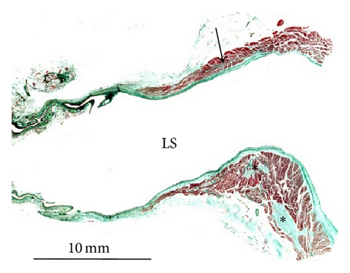 Details are in the caption following the image