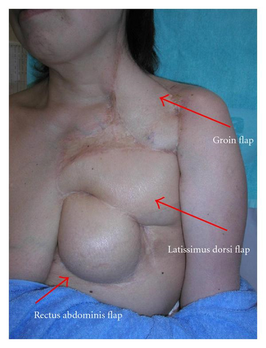 Details are in the caption following the image Details are in the caption following the image