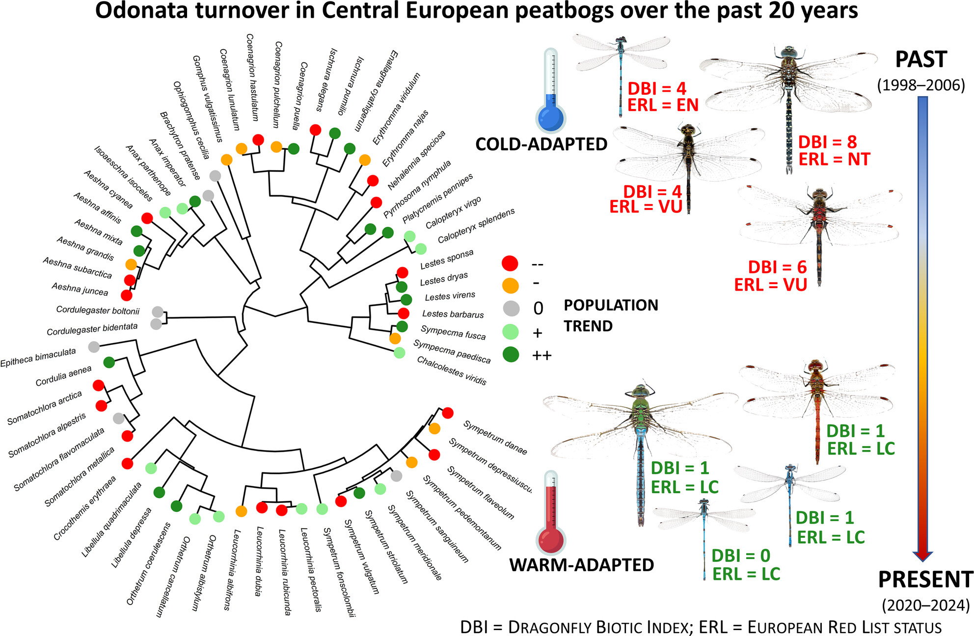 Highly Conserved Ecosystems Facing Climate Change: Rapid Shifts in Odonata Assemblages of Central European Bogs
