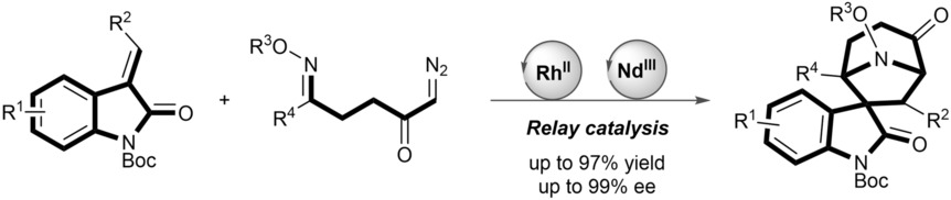 Enantioselective Synthesis of the Spirotropanyl Oxindole Scaffold through Bimetallic Relay Catalysis