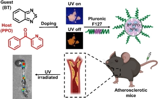 π–π Interaction-Induced Organic Long-wavelength Room-Temperature Phosphorescence for In Vivo Atherosclerotic Plaque Imaging