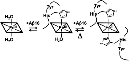 Heme Binding Induces Dimerization and Nitration of Truncated β-Amyloid Peptide Aβ16 Under Oxidative Stress