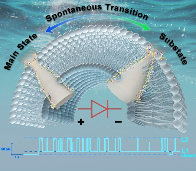 Spontaneous Transition between Multiple Conductance States and Rectifying Behaviors in an Artificial Single-Molecule Funnel