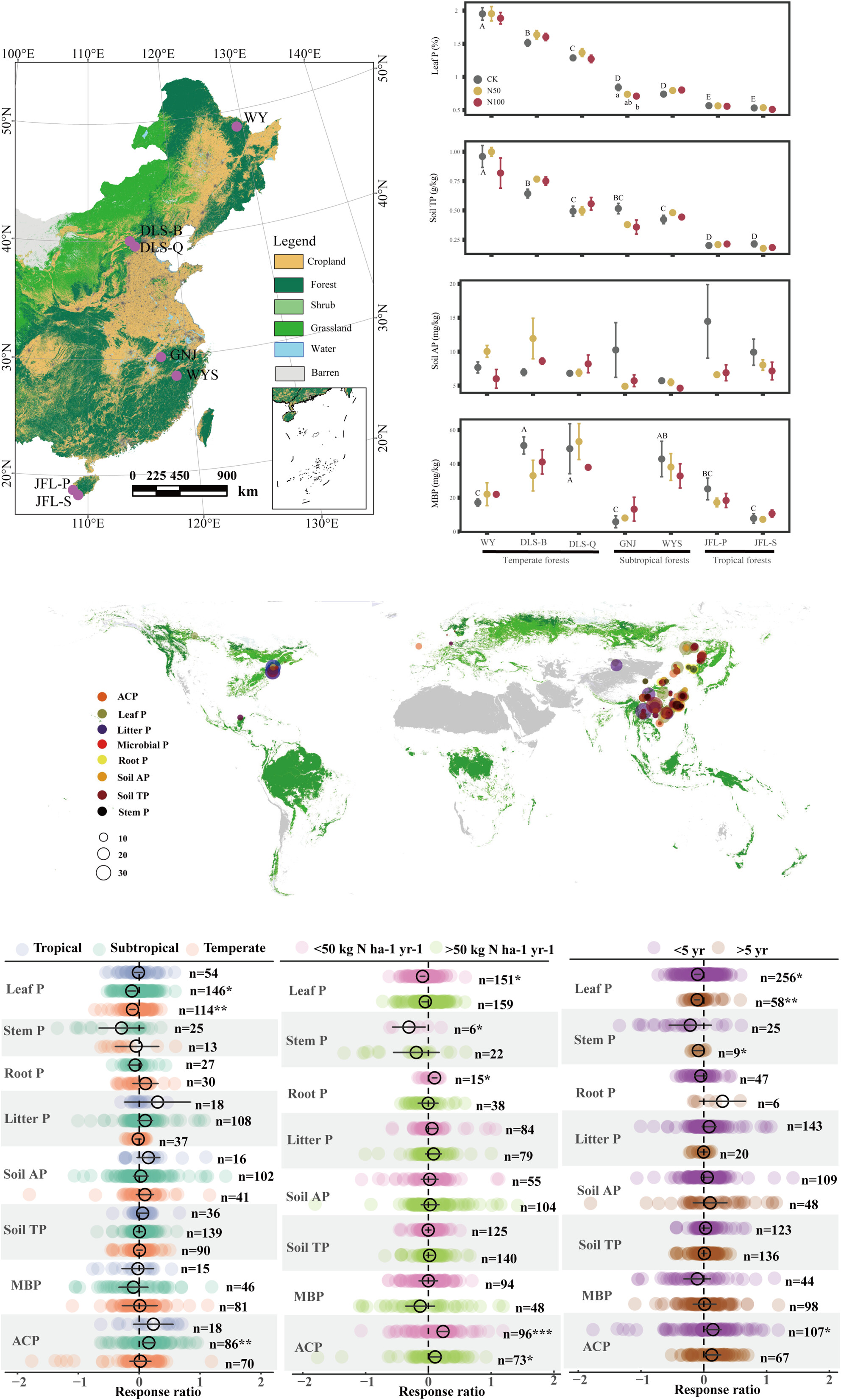 Field Experiments and a Meta-Analysis Reveal a Minor Influence of Nitrogen Addition on Phosphorus Fractions in Forests