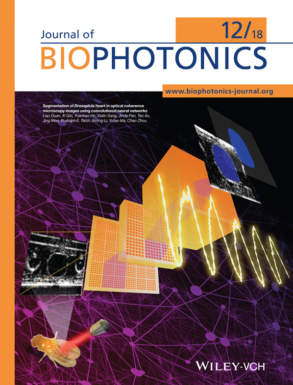 Back Cover: Segmentation of Drosophila heart in optical coherence microscopy images using convolutional neural networks (J. Biophotonics 12/2018)