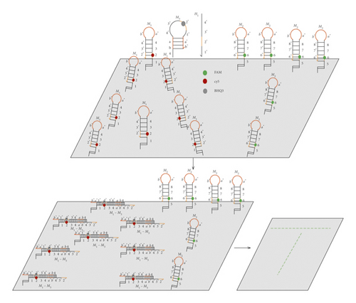 Details are in the caption following the image Details are in the caption following the image