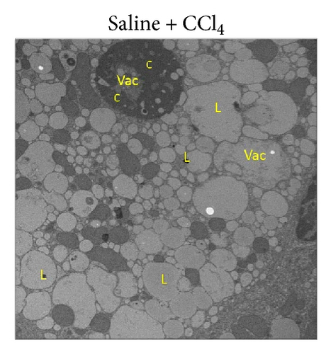 Details are in the caption following the image