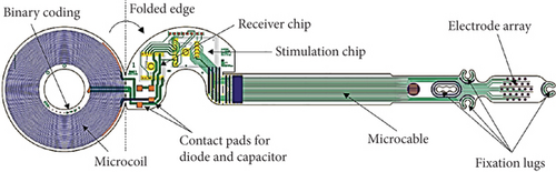 Details are in the caption following the image