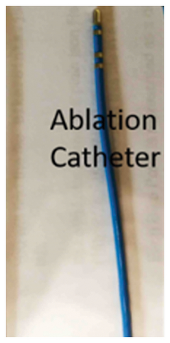 Details are in the caption following the image