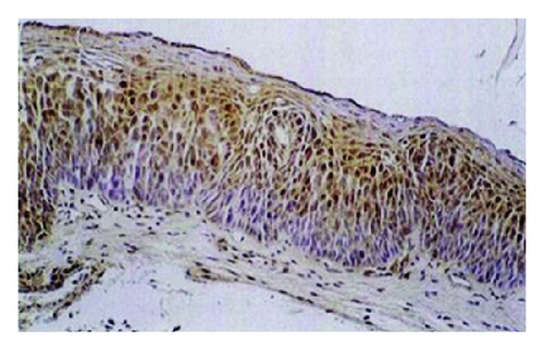 Details are in the caption following the image