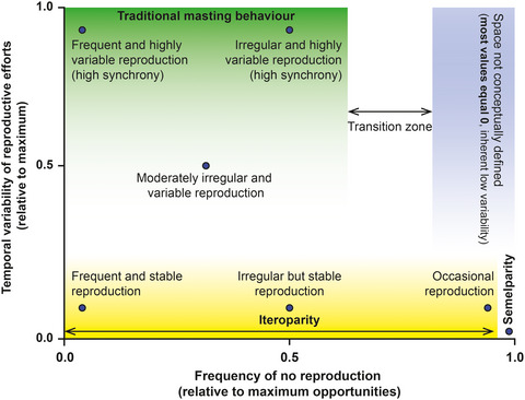 Measuring temporal patterns in ecology: The case of mast seeding