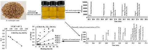 Thermally induced isomerization of linoleic acid and α-linolenic acid in Rosa roxburghii Tratt seed oil