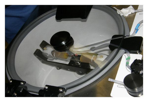 Details are in the caption following the image Details are in the caption following the image
