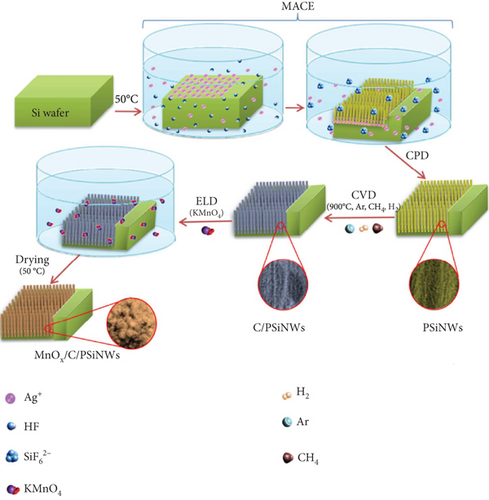 Details are in the caption following the image Details are in the caption following the image