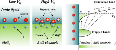 Enhanced Backgate Tunability on Interfacial Carrier Concentration in Ionic Liquid-Gated MoS2 Devices