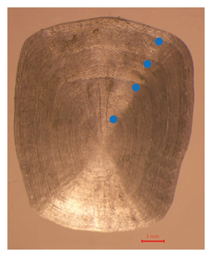 Details are in the caption following the image