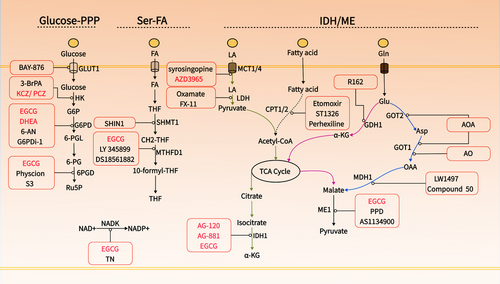 Details are in the caption following the image Details are in the caption following the image