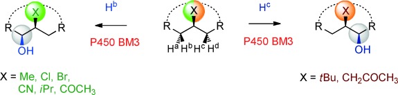Cytochrome P450 Catalyzed Oxidative Hydroxylation of Achiral Organic Compounds with Simultaneous Creation of Two Chirality Centers in a Single C<span class='icomoon'></span>H Activation Step
