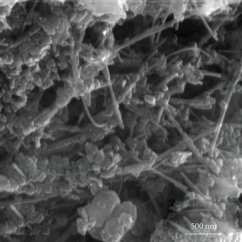 Details are in the caption following the image