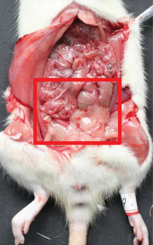 Details are in the caption following the image Details are in the caption following the image