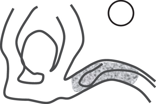Details are in the caption following the image