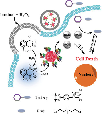 Luminescent, Oxygen-Supplying, Hemoglobin-Linked Conjugated Polymer Nanoparticles for Photodynamic Therapy