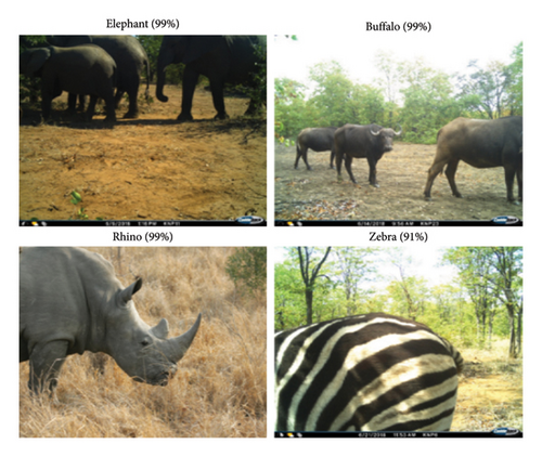 Details are in the caption following the image Details are in the caption following the image
