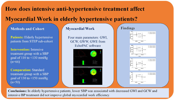 Effects of intensive blood-pressure treatment on myocardial work in elderly hypertensive patients: A subcenter study of the STEP randomized controlled trial