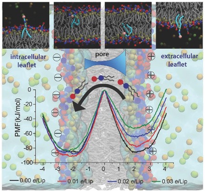 Lipid Flip-Flop and Pore Nucleation on Zwitterionic Bilayers are Asymmetric under Ionic Imbalance