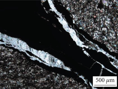 Details are in the caption following the image