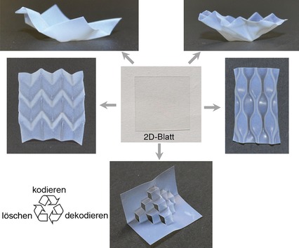 Reprogrammable Chemical 3D Shaping for Origami, Kirigami, and Reconfigurable Molding