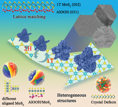 Phase Transition Induced via the Template Enabling Cocoon-like MoS2 an Exceptionally Electromagnetic Absorber