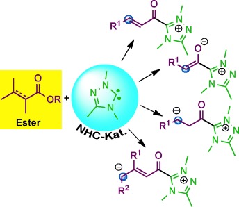 Durch N-heterocyclische Carbene katalysierte Aktivierung von Estern: eine Option für asymmetrische Dominoreaktionen