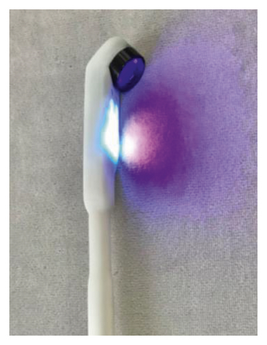Details are in the caption following the image Details are in the caption following the image