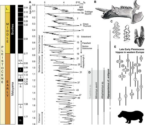 Details are in the caption following the image Details are in the caption following the image