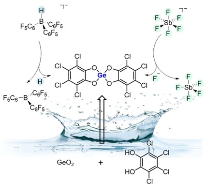 Bis(perchlorocatecholato)germane: Hard and Soft Lewis Superacid with Unlimited Water Stability